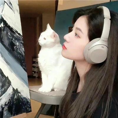 豹